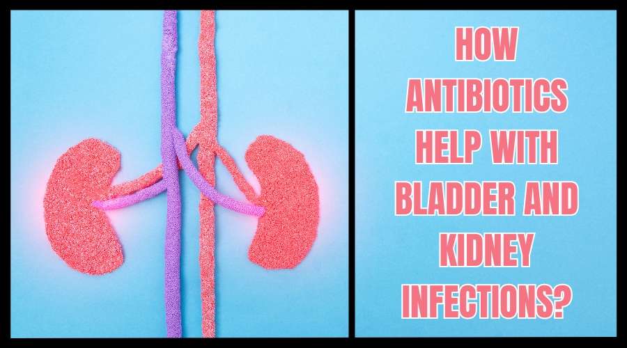 How Antibiotics Help With Bladder and Kidney Infections?